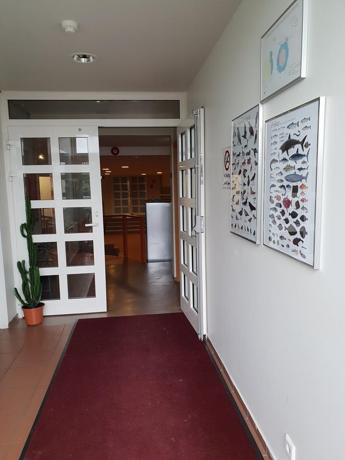 Retro Hostel *
